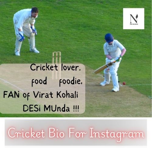 cricket bio for instagram​